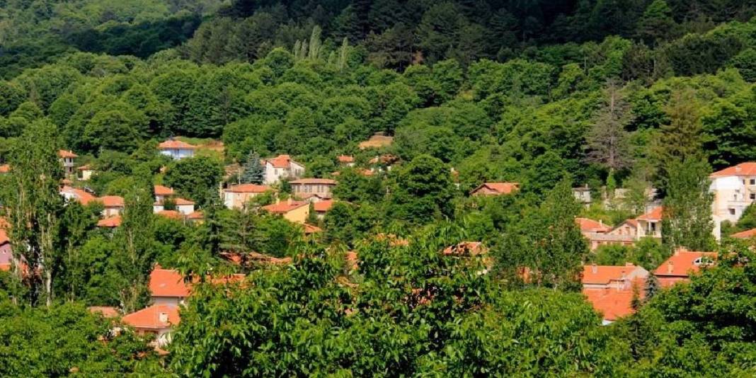 Kışın beyaza yazın yeşile bürünüyor! Herkes Alpler sanıyor ama Ege’de: Bu rota gideni hayran bırakıyor 2